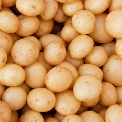 Baby potato