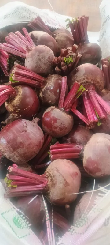 Beetroot