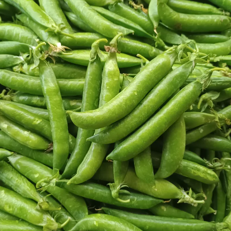 Green Peas